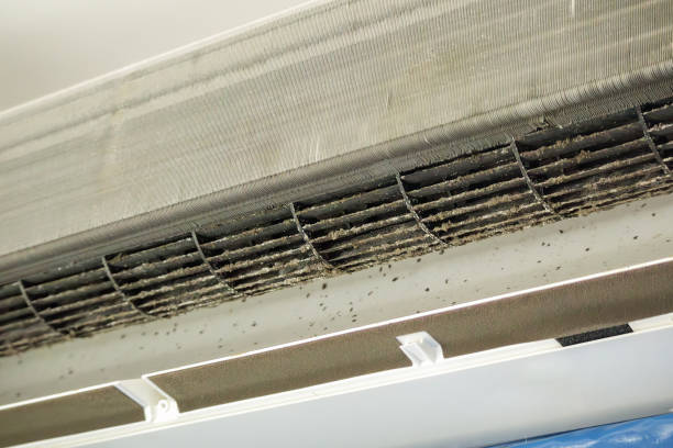Air Duct Mold Removal in Canadian, TX
